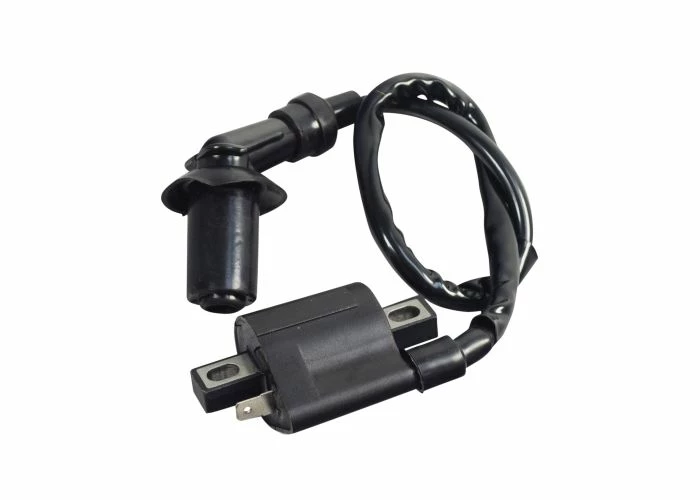 Best deal 👍 Mon Ster 125cc, 150cc, & 250cc Ignition Coil With Spark Plug Wire And Angled Connector ⭐